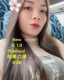 A13