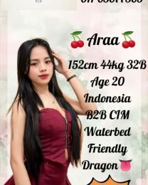 Araa