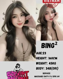 BingBing