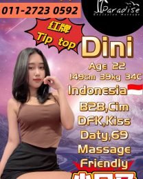 Dini
