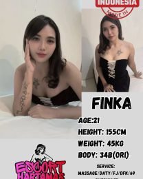 Finka