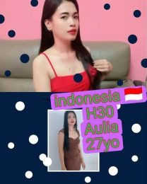 H30