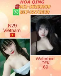 N29