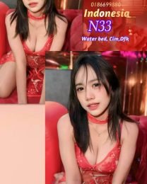 N33