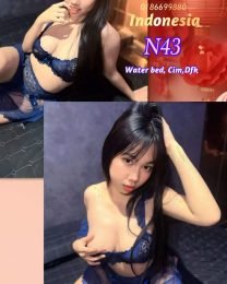 N43