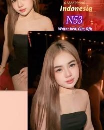 N53-2