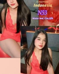 N53