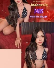 N85