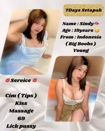 Sindy