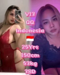 V13