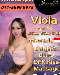 Viola