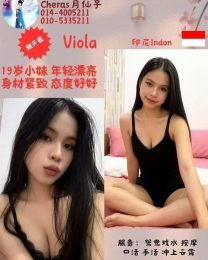 Viola