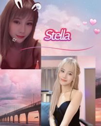 d008225222f79015817c640295e4069b