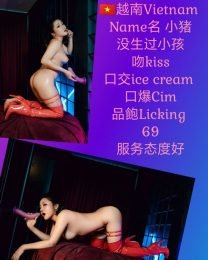 小猪