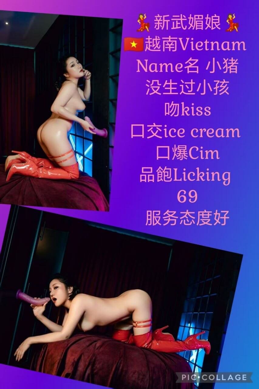 小猪-1