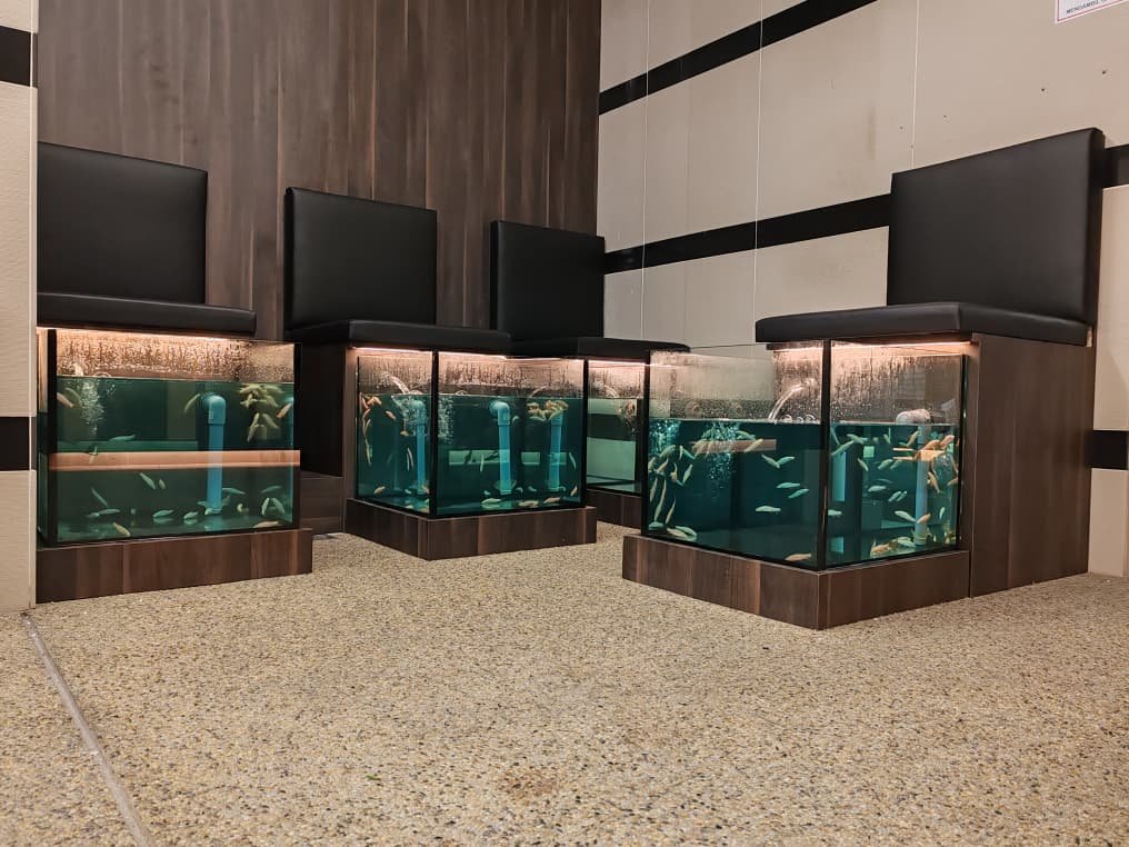 Spa-Fish-18