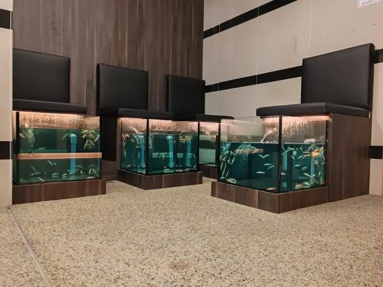 Spa-Fish-62-768x576.jpg-11