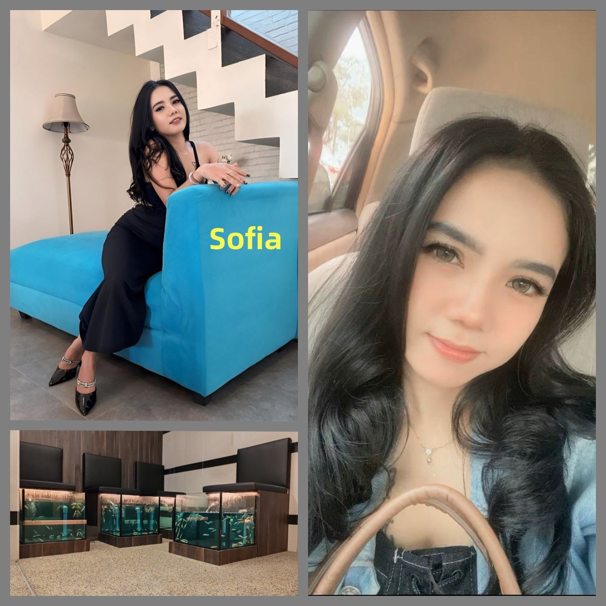 Sofia-3