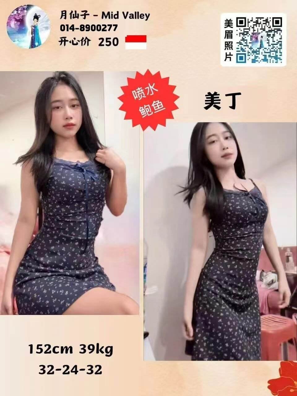 美丁-1