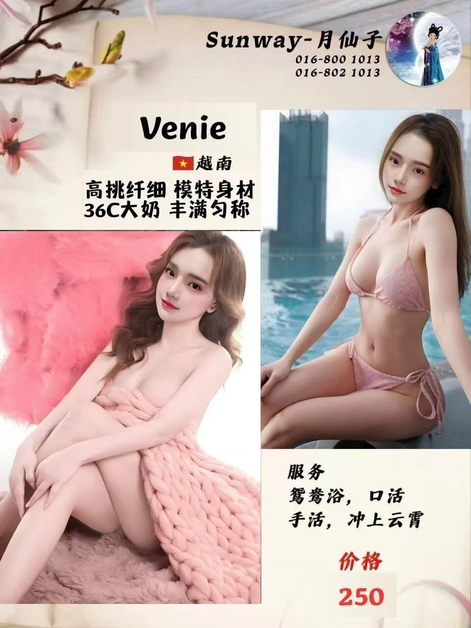 Venie-1
