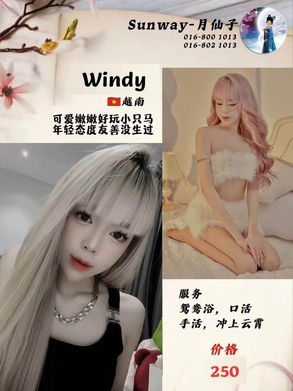 Windy-1