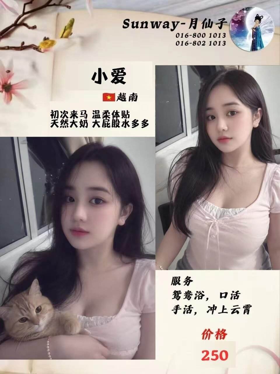 小爱-1